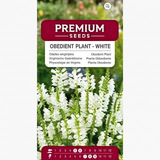 Odętka wirginijska - biała