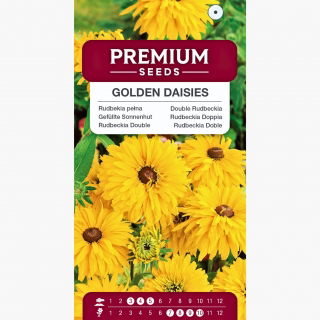 Rudbekia pełna - Golden Daisies