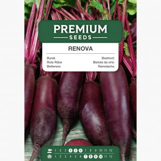 Burak ćwikłowy Renova