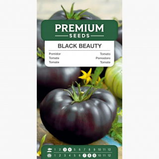 Pomidor Black Beauty – mięsisty, wysoki, gruntowy, słodki, czerwony w przekroju – HIT!