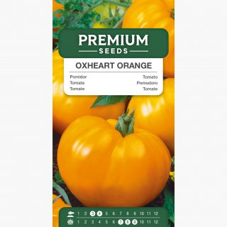 Pomidor Oxheart Orange – pomarańczowe bawole serce, bardzo mięsisty