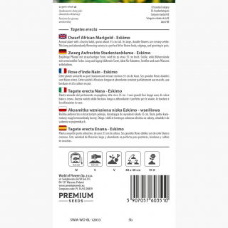 Aksamitka Eskimo - niska waniliowa