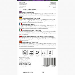 Bratek wielkokwiatowy Red Wings - żółto-brązowy