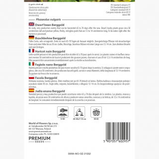 Fasola Berggold - szparagowa karłowa żółta