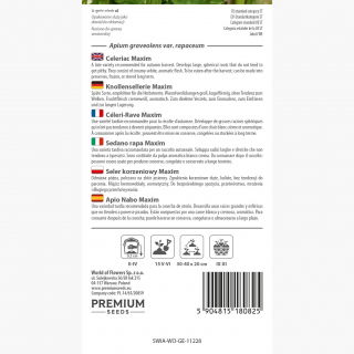 Seler korzeniowy Maxim - późny