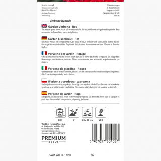 Werbena ogrodowa czerwona