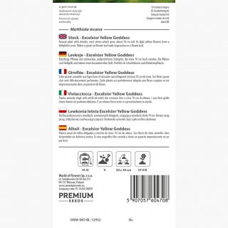 Lewkonia letnia Excelsior Yellow Goddess