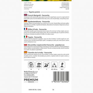 Aksamitka Favourite - rozpierzchła pojedyncza