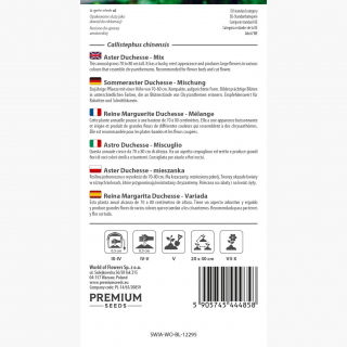 Aster - Duchesse - mieszanka