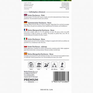 Aster - Duchesse - różowy