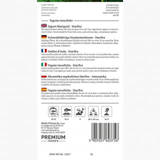 Aksamitka Starfire - wąskolistna, mieszanka