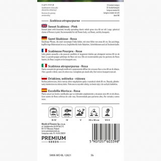 Driakiew, wdówka - różowa