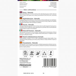 Bratek wielkokwiatowy hiemalis - kwitnie już od zimy