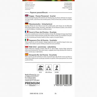 Mak letni - peoniowy - szkarłatny