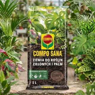 Podłoże do roślin zielonych i palm - Compo Sana - 5 litrów - paleta 350 szt.