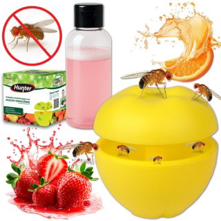 Pułapka na muszki owocówki z gotowym płynem wabiącym - szybka i efektywna - 60 ml