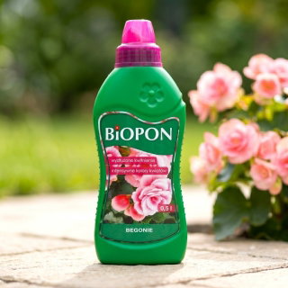 Nawóz do begonii - Biopon - 500 ml
