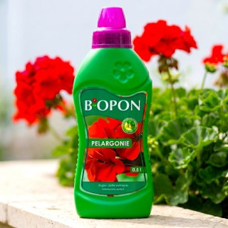 Nawóz do pelargonii - Biopon - 500 ml
