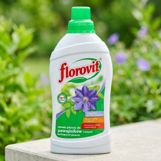 Nawóz do powojników i innych kwitnących pnączy - Florovit - 1 litr