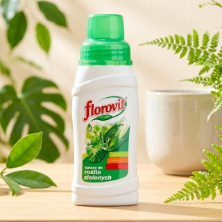 Nawóz do roślin zielonych - Florovit - 250 ml