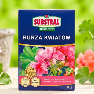 Nawóz długo działający do roślin balkonowych Burza Kwiatów Balkon - Substral - 300 g