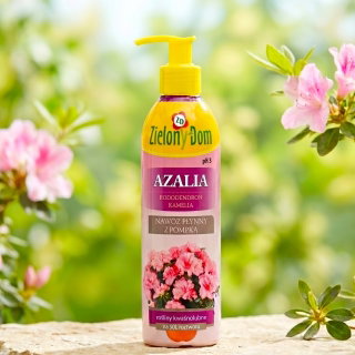 Nawóz z pompką do azalii, rododendronów, kamelii i innych roślin kwasolubnych - Zielony Dom - 300 ml