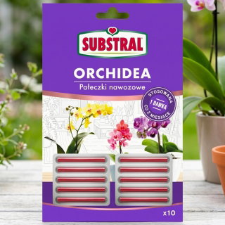 Pałeczki nawozowe do orchidei z żelazem i witaminami - Substral - 10 szt.