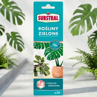 Pałeczki nawozowe do roślin zielonych - Substral - 30 sztuk