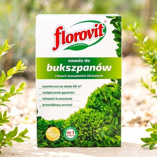 Nawóz do bukszpanów i innych żywopłotów liściastych - zwiększający gęstość - Florovit - 1 kg