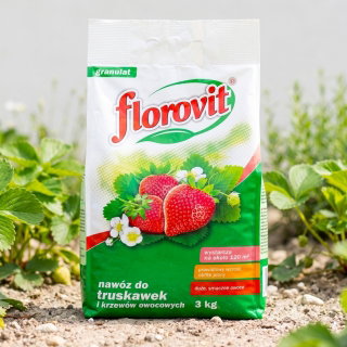 Nawóz do truskawek i krzewów owocowych - obfite plony, duże i smaczne owoce - Florovit - 3 kg