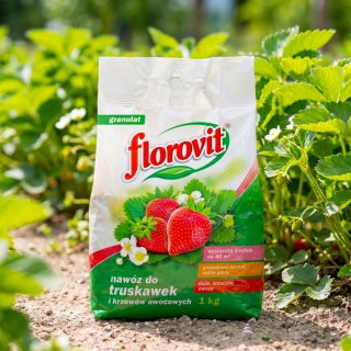Nawóz do truskawek i poziomek - obfite plony, duże i smaczne owoce - Florovit - 1 kg