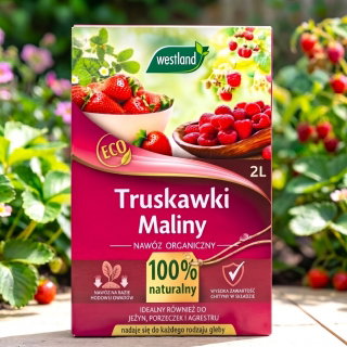 Nawóz frass do truskawek, malin, porzeczek i innych jagodowych - Westland - 2 litry