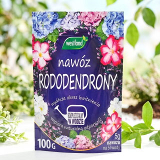 Nawóz krystaliczny do rododendronów - Westland - na 100 litrów