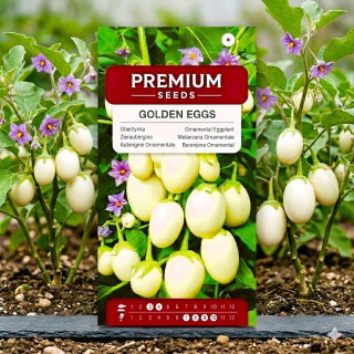 Oberżynka Golden Eggs