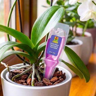 Odżywka orchid power - do storczyków - Compo - 1 x 30 ml