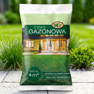 Trawa Gazonowa - dosiewka, do regeneracji ubytków w trawniku - 100 g