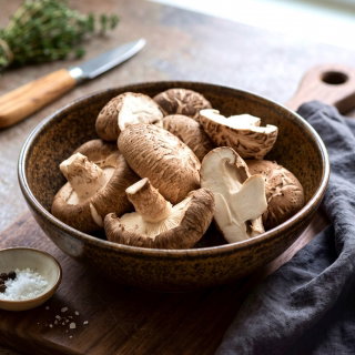 Shiitake - Grzyb długowieczności - grzybnia na kołkach