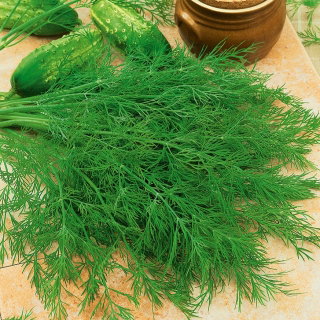Koper ogrodowy Ambrozja - 100 gram