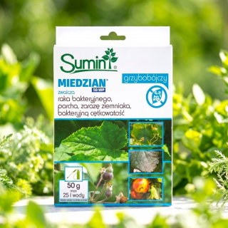 Miedzian 50 WP - na choroby bakteryjne i grzybowe - Sumin - 50 g