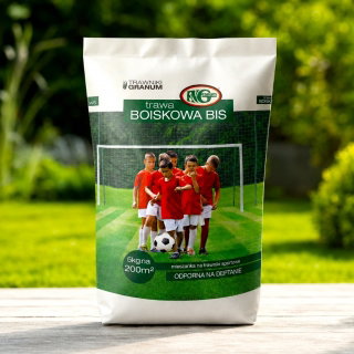 Mieszanka traw - Boiskowa BIS - 15 kg - na 600 m²
