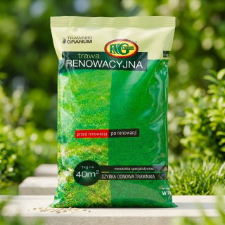 Mieszanka traw - Renowacyjna - 1 kg