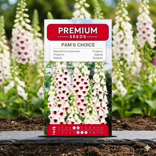 Naparstnica purpurowa Pam's Choice