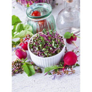 BIO Nasiona na kiełki - Rzodkiewka CHINA ROSE - Certyfikowane nasiona ekologiczne
