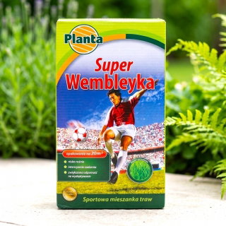 Super Wembleyka - trawa gazonowa odporna na wydeptywanie - Planta - 0,5 kg