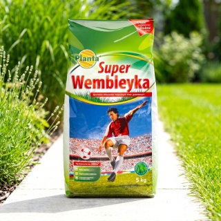 Super Wembleyka - trawa gazonowa odporna na wydeptywanie - Planta - 15 kg - na 600 m²