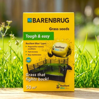 Tough & Easy Resilient Blue - trawa na suszę i ekstremalne warunki, otoczkowana - 1 kg