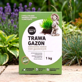 Trawa Gazon - gazonowa, reprezentacyjna, intensywnie zielona, wolnorosnąca - 1 kg