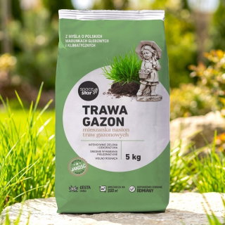 Trawa Gazon - gazonowa, reprezentacyjna, intensywnie zielona, wolnorosnąca - 5 kg