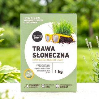 Trawa Słoneczna - na miejsca słoneczne i suche, głęboko ukorzenia się - 1 kg