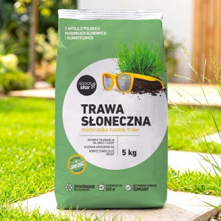 Trawa Słoneczna - na miejsca słoneczne i suche, głęboko ukorzenia się - 5 kg